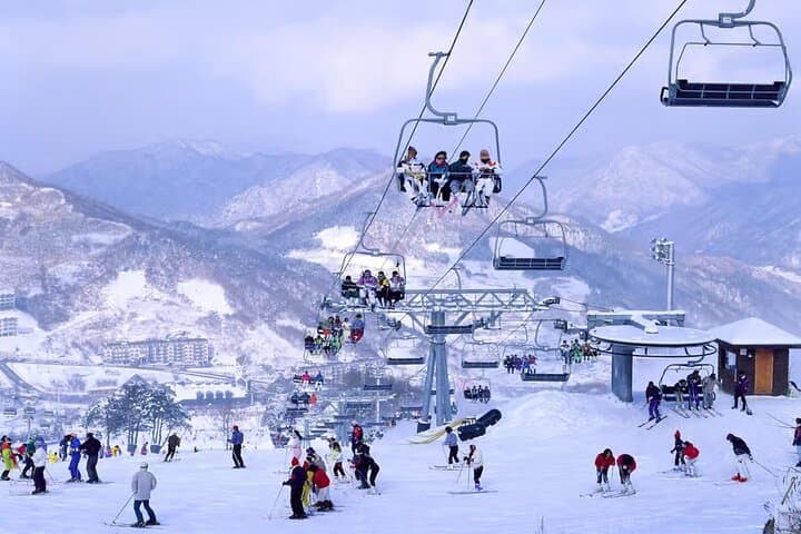 Day Ski Trip from Seoul to Jisan Forest Resort — Beginner Lessons & Isaac Toast photo 2