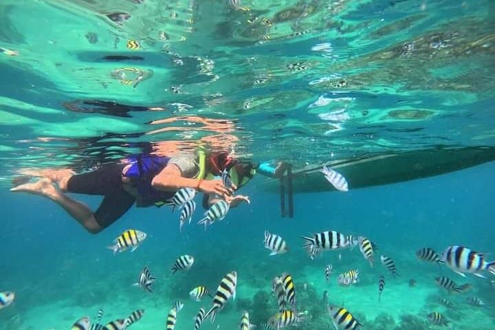 Blue Lagoon Snorkeling & Goa Lawah: Eastern Bali Day Trip from Seminyak