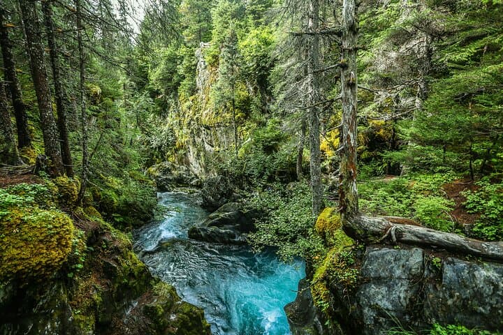 Anchorage to Seward and Homer: Self-Guided Scenic Driving Tour of the Kenai Peninsula