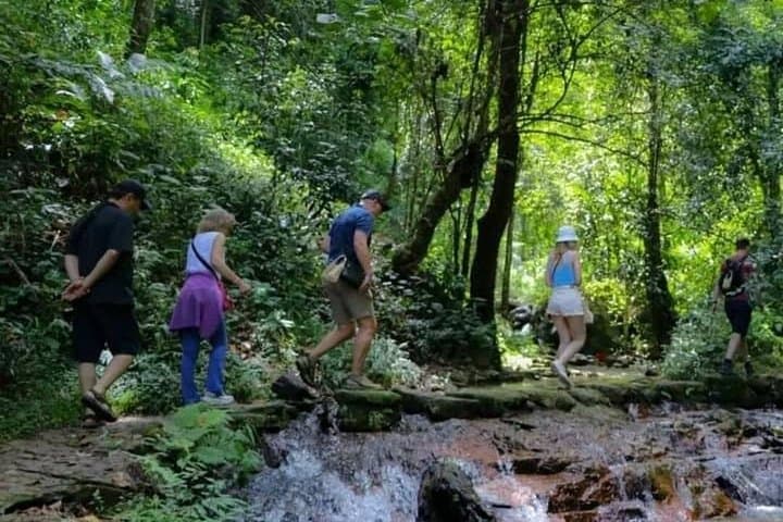 Mae Kampong Wild Gibbon Jungle Trek from Chiang Mai — Full-Day Rainforest Walk photo 2