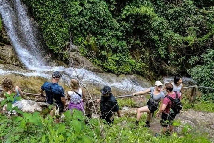 Mae Kampong Wild Gibbon Jungle Trek from Chiang Mai — Full-Day Rainforest Walk