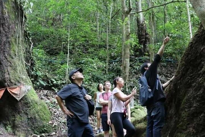 Mae Kampong Wild Gibbon Jungle Trek from Chiang Mai — Full-Day Rainforest Walk photo 3