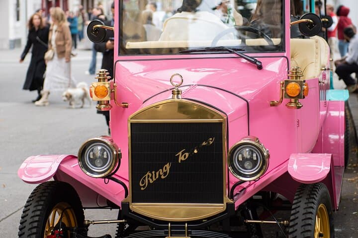 Vienna in an Electric Oldtimer: 1-Hour Ringstrasse Highlights Tour photo 3