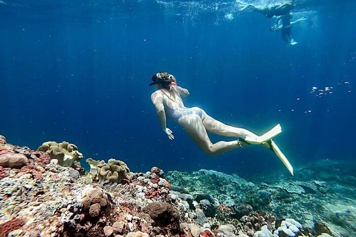 Lembongan Snorkeling & Island Tour — Manta Rays, Reefs & Scenic Cliffs photo 4