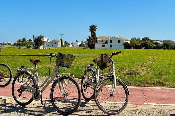 Valencia Half-Day Foodie Cycling Tour: Marina, Beaches & Orchards photo 2