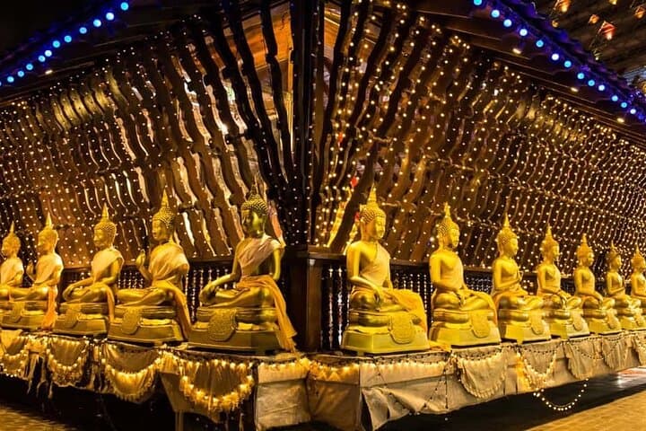 Colombo Private Tour by Eco Car: National Museum, Gangaramaya & Port City photo 5