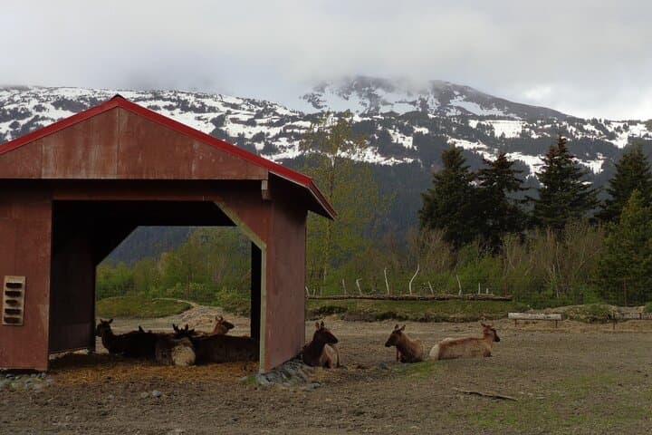 Drive the Seward Highway: Self-Guided Audio Tour from Anchorage to Seward photo 5