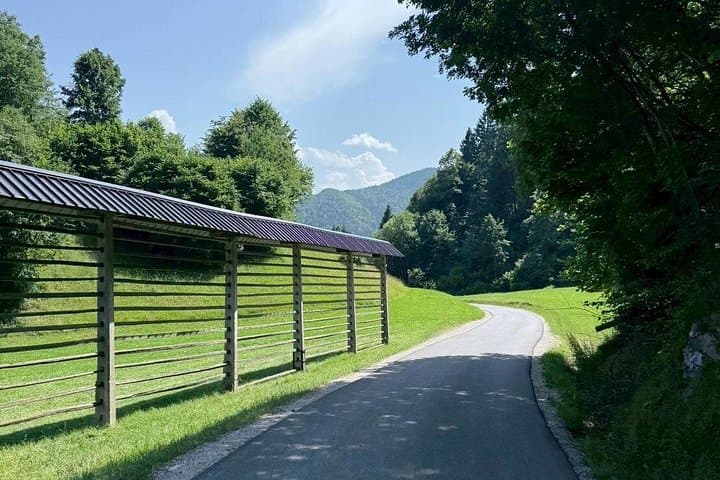 Self-Guided E-Bike to Triglav National Park from Bled: Radovna Valley Ride photo 4