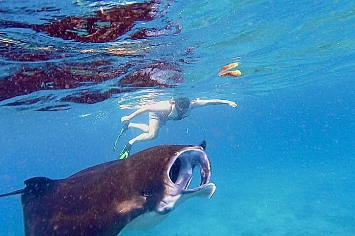 Manta Ray Snorkeling from Bali — Nusa Lembongan & Nusa Penida Day Trip photo 2
