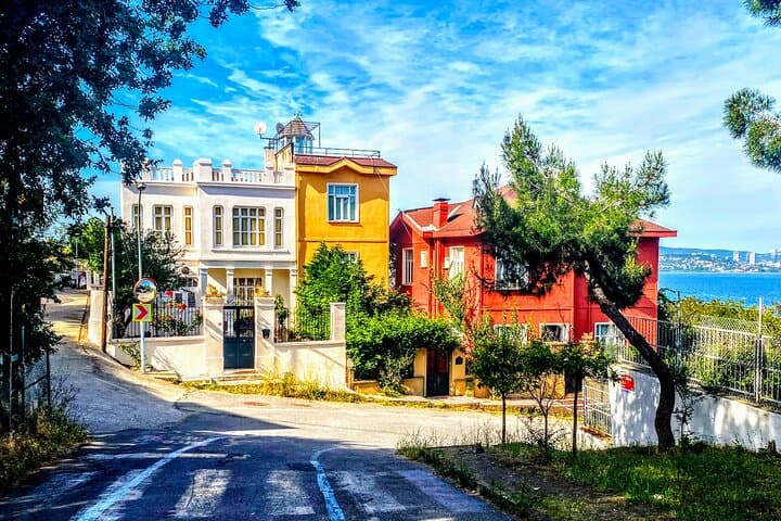 Half-Day Princes' Islands Tour from Istanbul — Buyukada Ferry & Walking Exploration photo 3