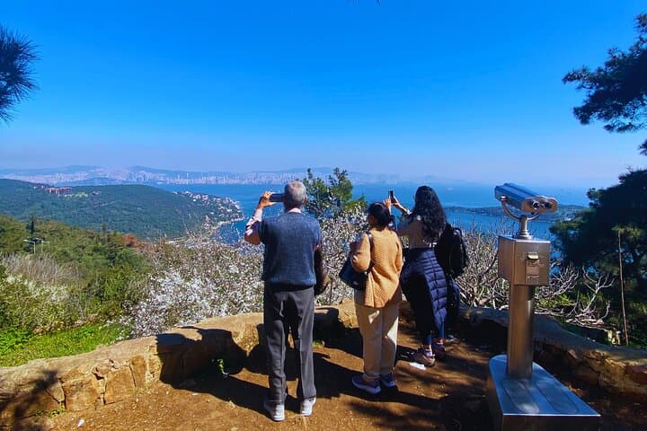 Half-Day Princes' Islands Tour from Istanbul — Buyukada Ferry & Walking Exploration photo 4