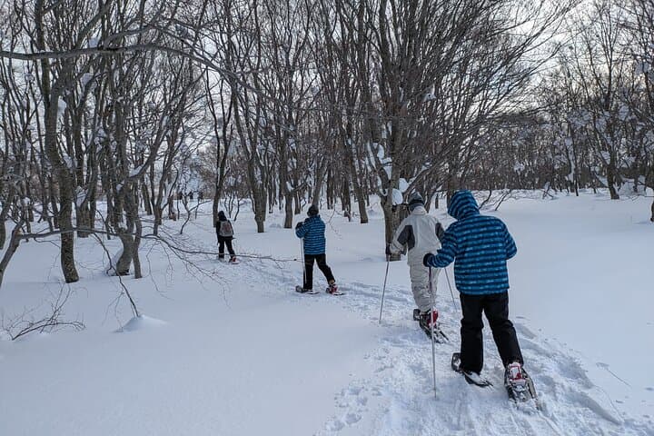 Hakkoda Snowshoe Adventure: Guided Winter Trek from Aomori photo 2