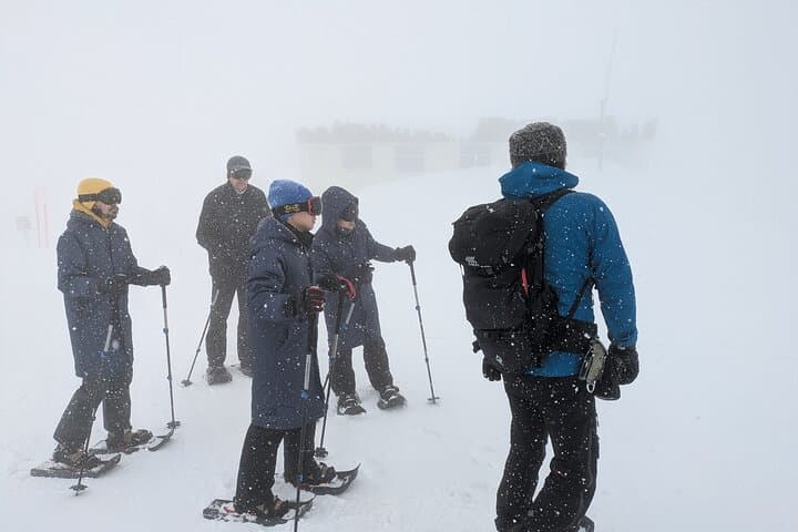 Hakkoda Snowshoe Adventure: Guided Winter Trek from Aomori photo 3