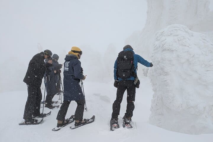 Hakkoda Snowshoe Adventure: Guided Winter Trek from Aomori photo 4