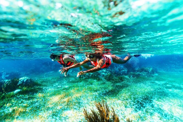 Snorkel Puerto Morelos: Great Maya Reef Day Trip with Town Walk & Beach Lunch
