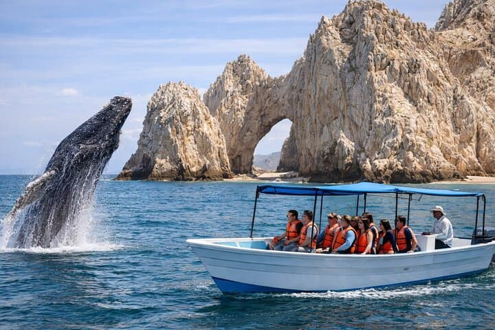 Cabo 2-Hour Shore Excursion: El Arco, Lover’s Beach & Whale Encounters