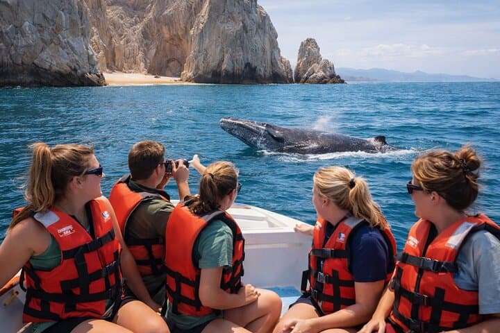 Cabo 2-Hour Shore Excursion: El Arco, Lover’s Beach & Whale Encounters photo 3