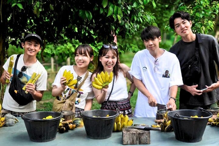 Phuket Ethical Elephant Sanctuary: Half-Day Nature Walk and Care Experience photo 2