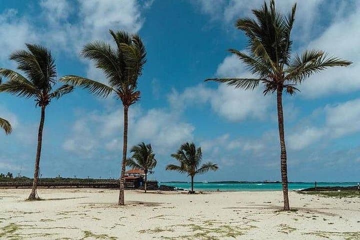 Galapagos Intensive Premium: 6-Day Wildlife & Snorkel Adventure Across 3 Islands photo 2