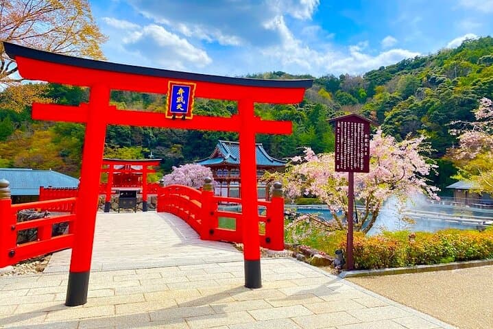Private Nara, Osaka & Katsuo-ji Day Tour: Deer, Castles & Temples photo 3