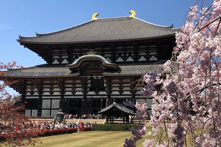 Private Nara, Osaka & Katsuo-ji Day Tour: Deer, Castles & Temples photo 5