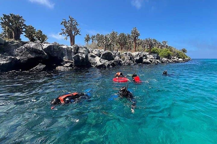 Premium Daily Snorkel and Catch-and-Release Tour to Santa Fe Island photo 4