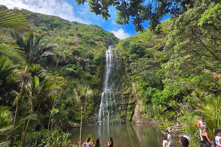 Private Auckland West Coast Tour — Karekare Falls, Rainforest & Piha Beach photo 1