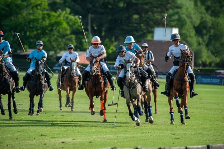 Polo Lessons in Mar del Plata: Learn Argentine Polo at Parque Camet