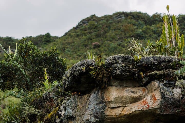 Walking Through Muisca Time: Machetá Ancient Trails & Andean Culture photo 3