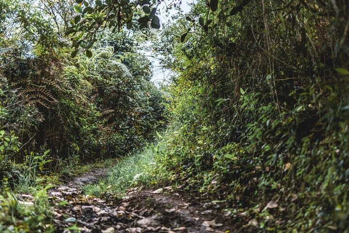 Walking Through Muisca Time: Machetá Ancient Trails & Andean Culture photo 5
