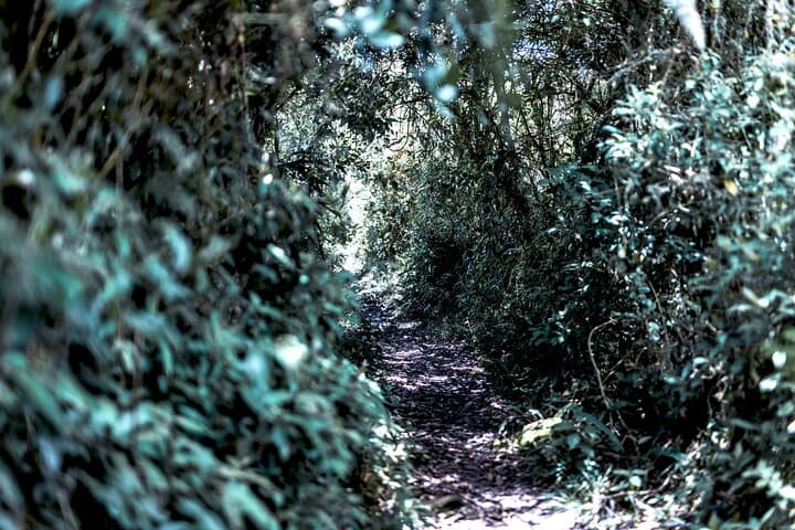 Walking Through Muisca Time: Machetá Ancient Trails & Andean Culture photo 6