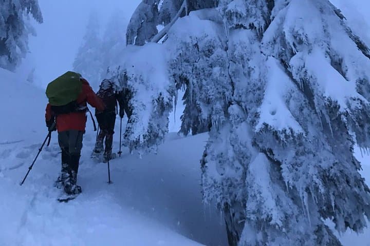 Private Evening Snowshoe Tour in North Vancouver — Learn Snowshoeing Under City Lights photo 3