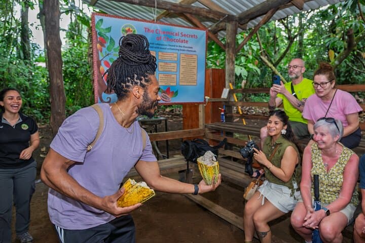 Rainforest Chocolate Tour from La Fortuna: Hands-On Cacao & Chocolate Tasting photo 4