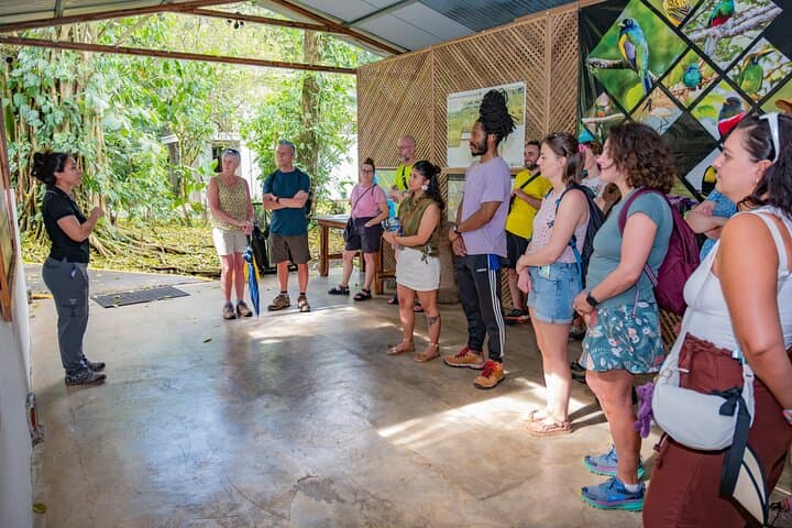 Rainforest Chocolate Tour from La Fortuna: Hands-On Cacao & Chocolate Tasting photo 5