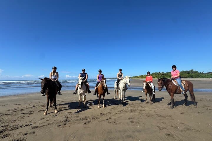 Ethical Beach Horseback Ride Between Jaco and Manuel Antonio photo 3