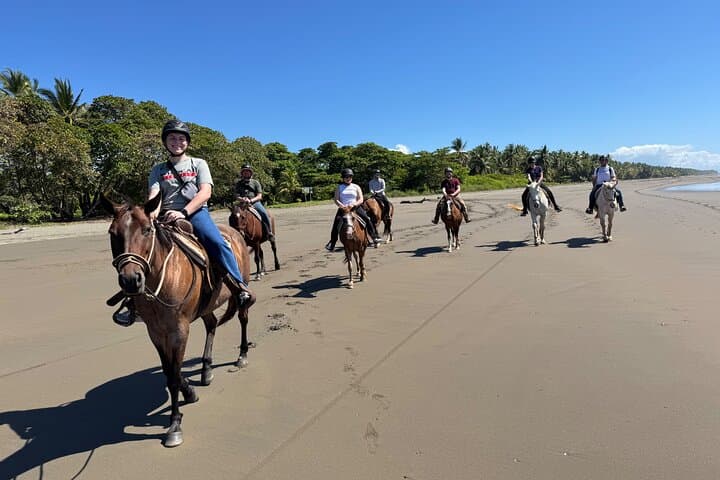 Ethical Beach Horseback Ride Between Jaco and Manuel Antonio photo 2