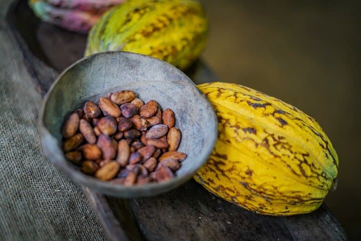 Rainforest Chocolate Tour from La Fortuna: Hands-On Cacao & Chocolate Tasting
