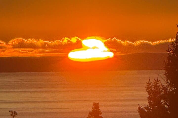 Full-Day Anchorage Tour: Culture, Wildlife & Turnagain Arm Scenic Drive photo 2
