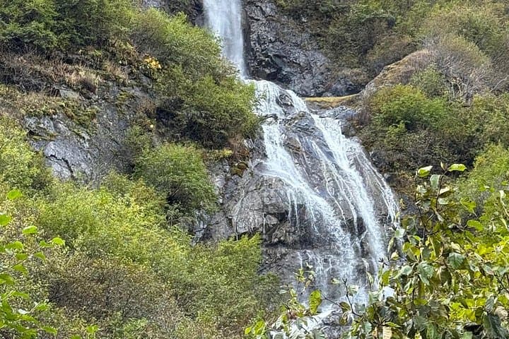 Full-Day Anchorage Tour: Culture, Wildlife & Turnagain Arm Scenic Drive photo 4