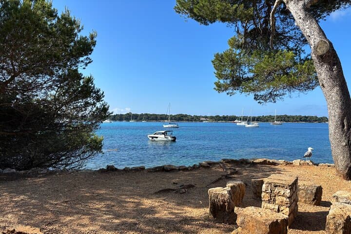 Private Boat Tour on the Côte d'Azur — Nice to Monaco or Cannes photo 2