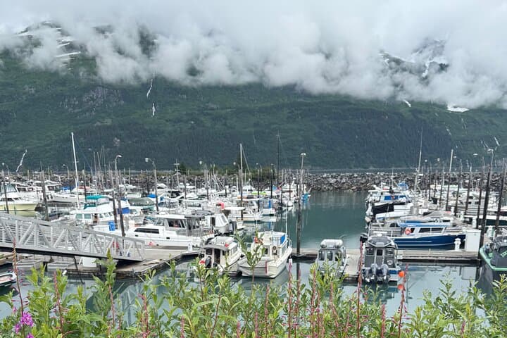 Whittier Drive and Coastal Alaska Full-Day Adventure from Anchorage