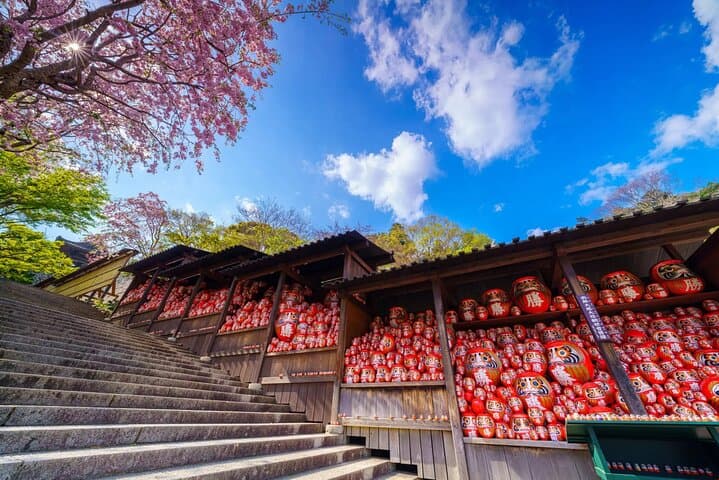 Private Nara, Osaka & Katsuo-ji Day Tour: Deer, Castles & Temples photo 2