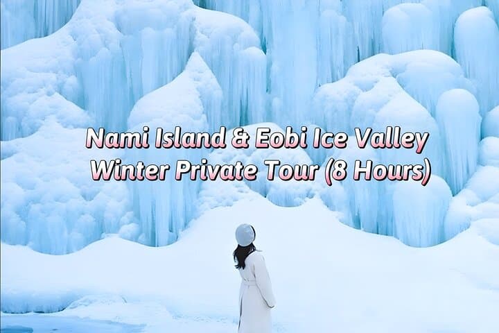 Winter at Nami Island & Eobi Ice Valley: Private 8-Hour Tour from Seoul