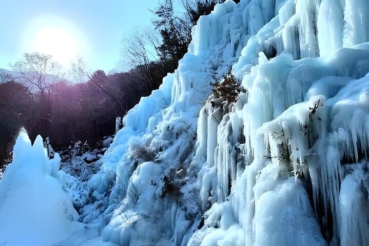 Winter at Nami Island & Eobi Ice Valley: Private 8-Hour Tour from Seoul photo 5