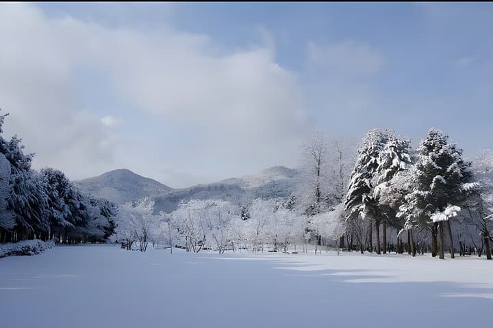 Winter at Nami Island & Eobi Ice Valley: Private 8-Hour Tour from Seoul photo 4