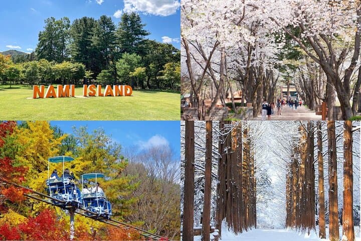 Winter at Nami Island & Eobi Ice Valley: Private 8-Hour Tour from Seoul photo 2