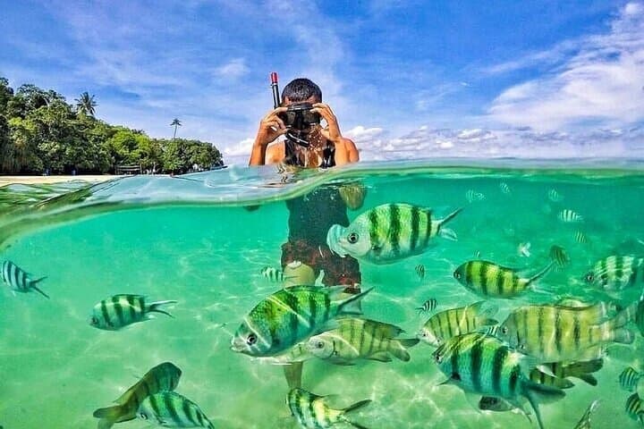 Payar Island Snorkeling & Diving Expedition from Langkawi — Day Trip to Pulau Payar Marine Park photo 2