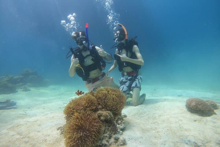 Payar Island Snorkeling & Diving Expedition from Langkawi — Day Trip to Pulau Payar Marine Park