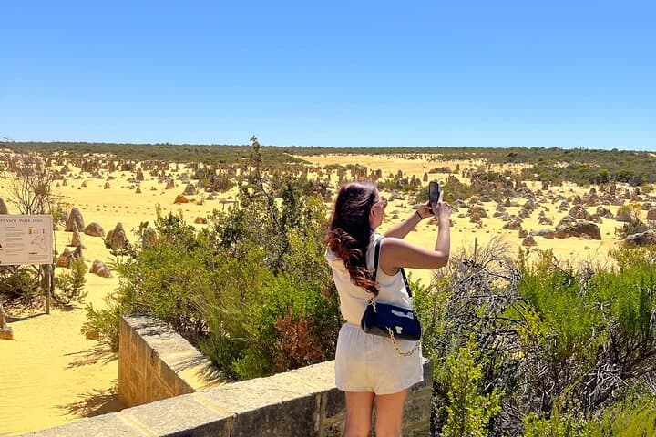Turquoise Coast Day Tour: Pinnacles Desert, Lobster Shack & Lancelin Dunes photo 3