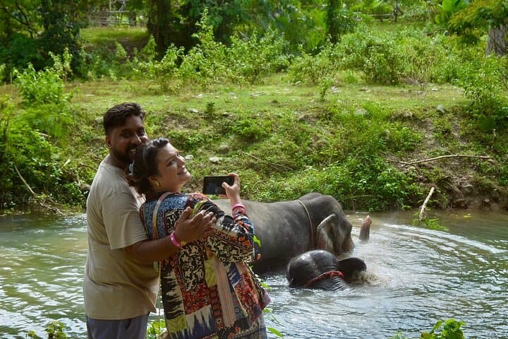 Phuket Ethical Elephant Sanctuary: Half-Day Nature Walk and Care Experience photo 3